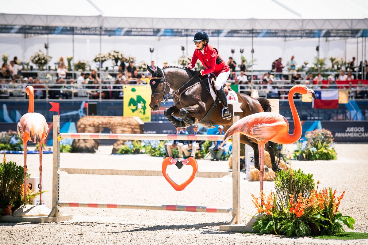 The FEI tweet media