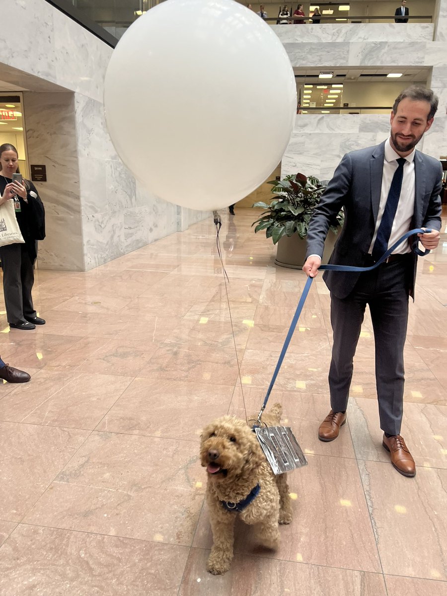 I am in the Hart office building for @SenThomTillis’ annual Halloween party for dogs Will be posting my favorite costumes. Here is a starter — a dog as a spy balloon