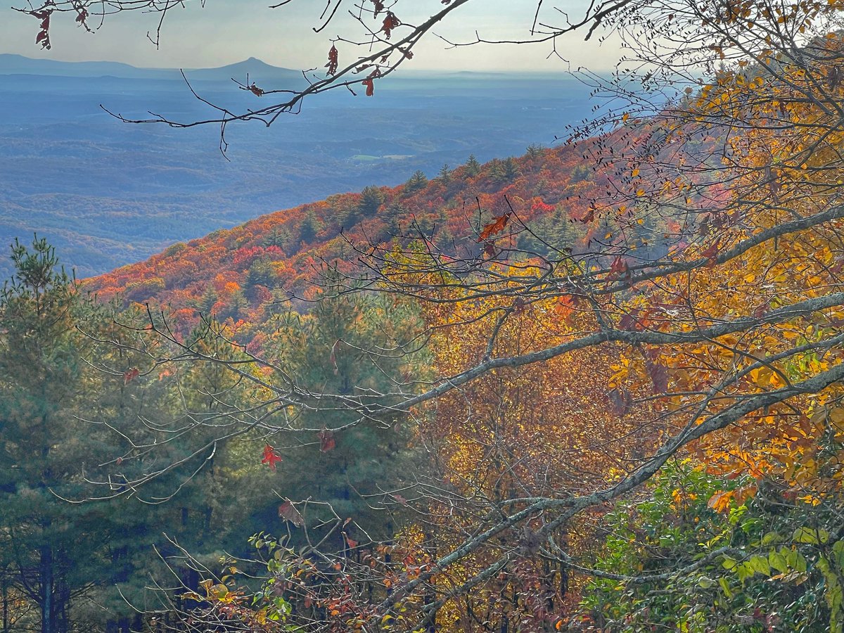 Bill Leslie tweet media