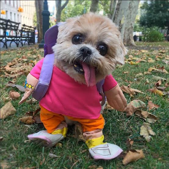 Happy Halloween everyone! Be safe but don’t forget to get a little crazy lol. https://t.co/a8McAQFjN