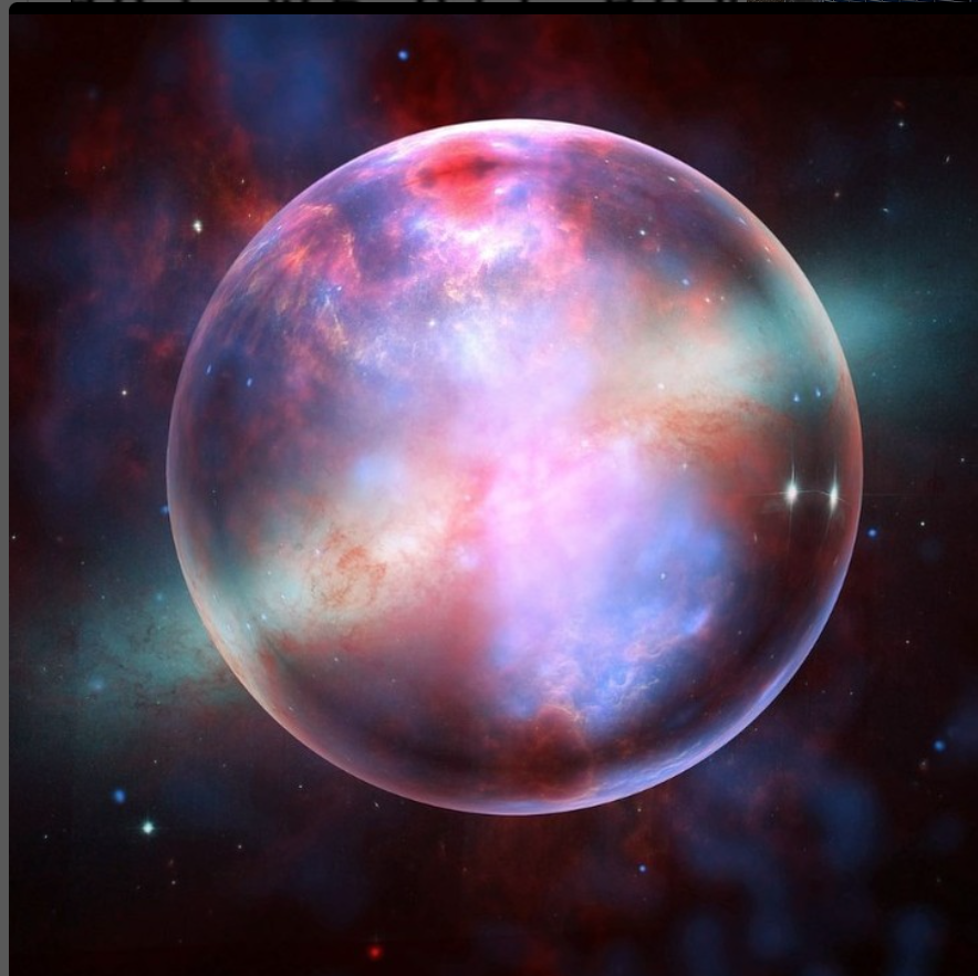 Kay White tweet media