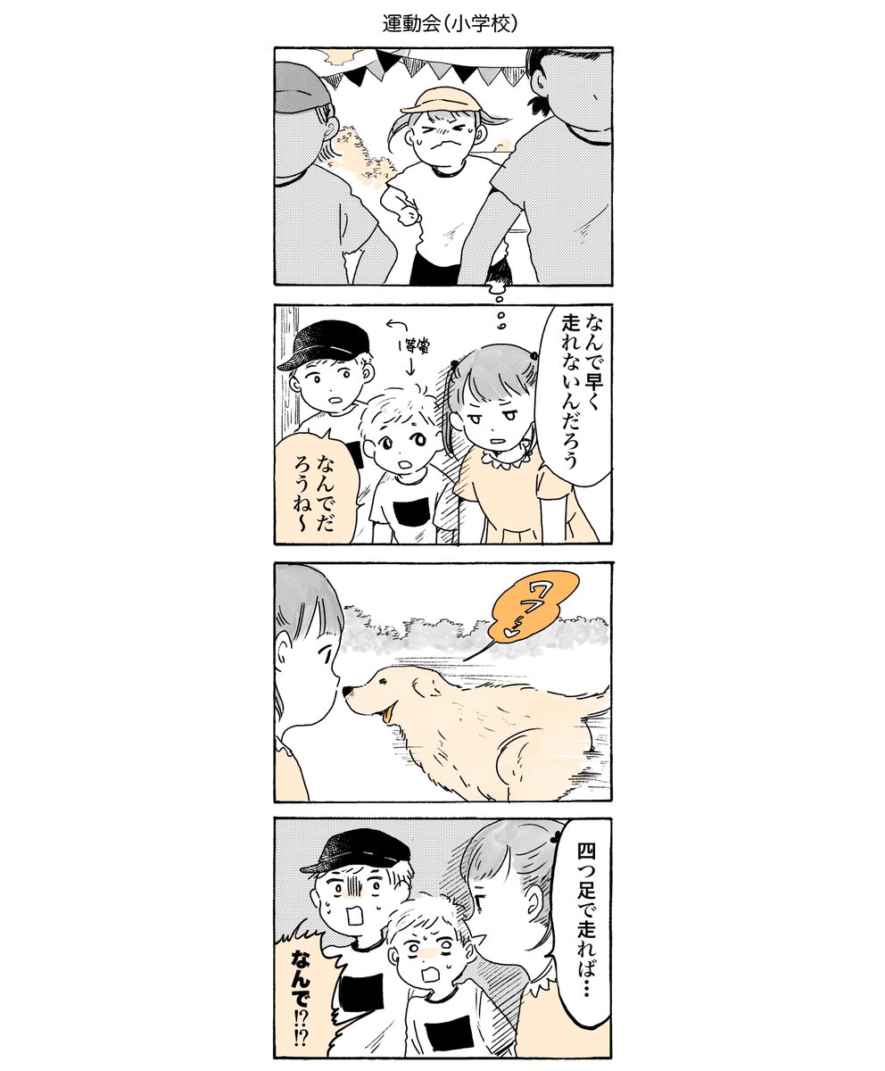 四つ足で駆け抜ける秋💨(再掲)  #姫ばあちゃんとナイト