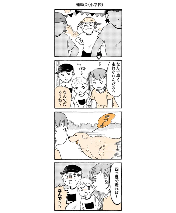 四つ足で駆け抜ける秋💨(再掲)  #姫ばあちゃんとナイト