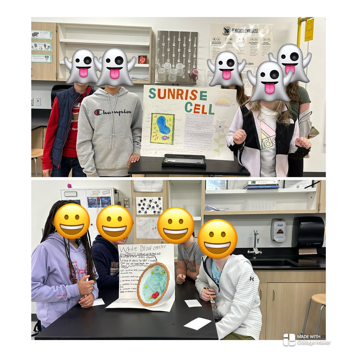 lbell200980's tweet photo. PBL in cells in Core 2! They all did a fabulous job! 🧫🦠🔬@HerbertAkinsMS @AMA_Nighthawks #NighthawksRise using our #NighthawkVision https://t.co/57EU1ZT8jv
