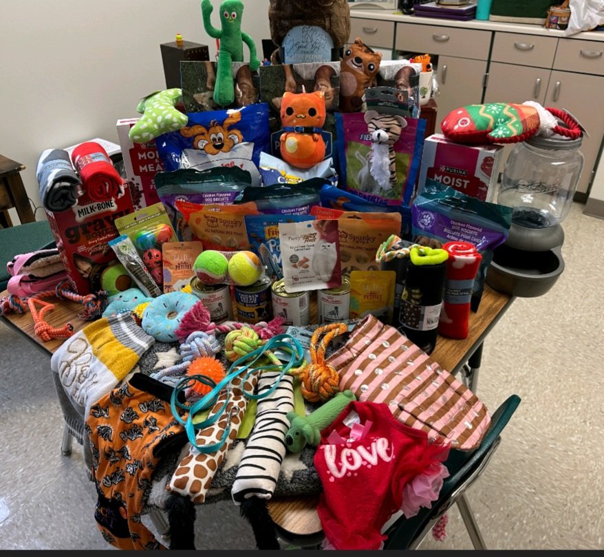 Treasure Forest Elementary tweet media