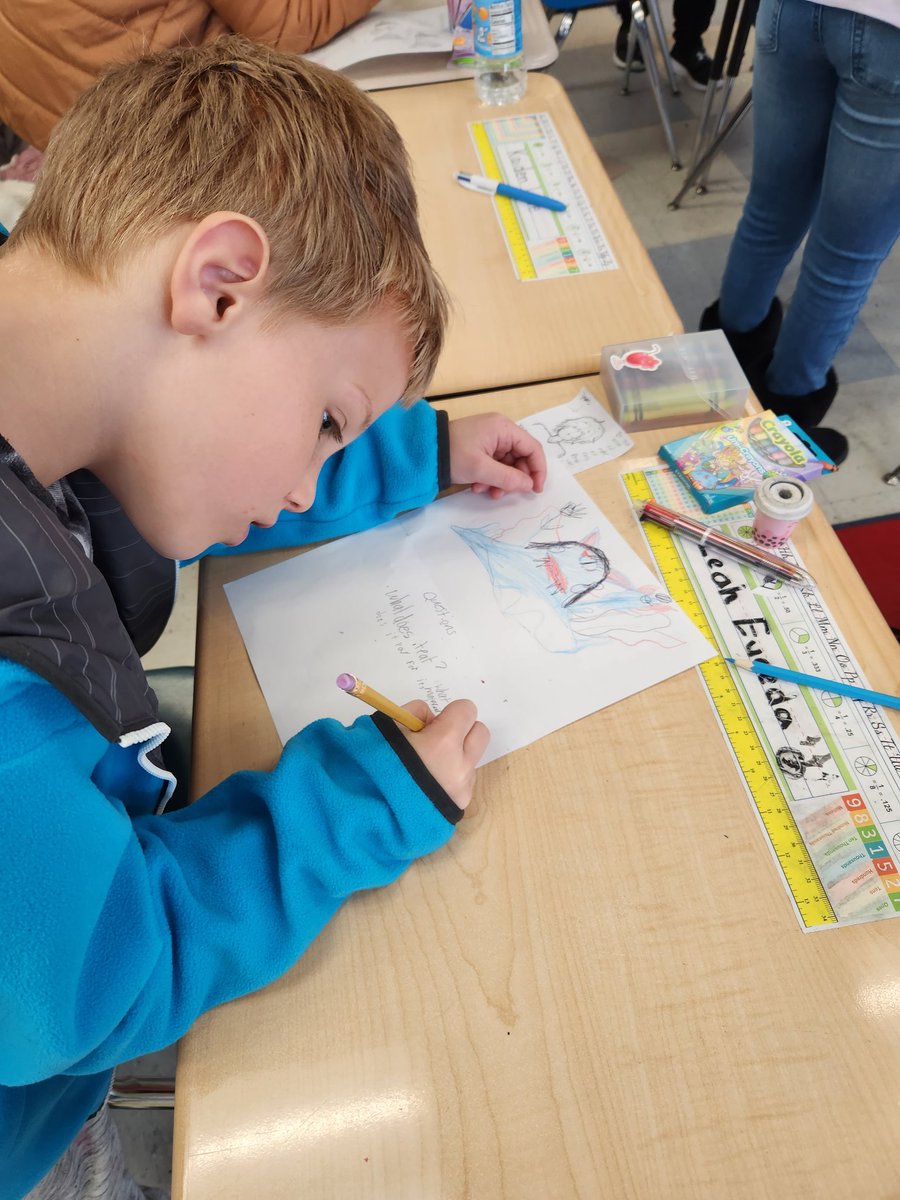 Shelly Mitchell tweet media