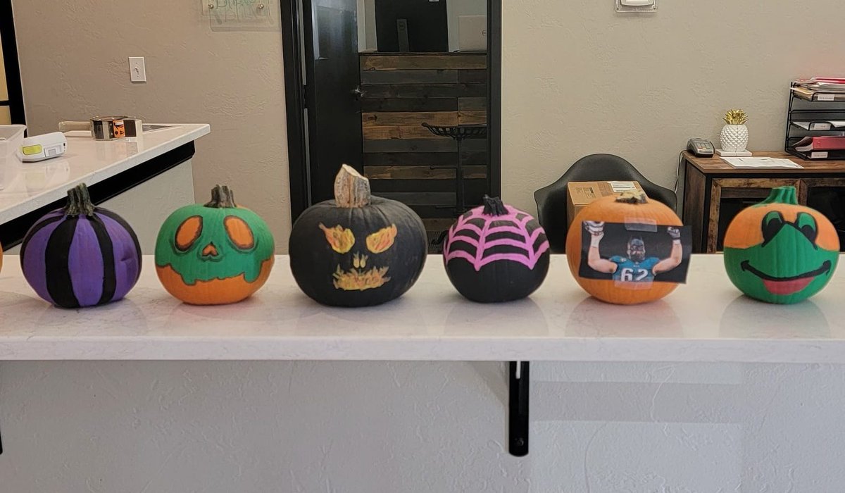 cutequirkyat's tweet photo. Happy Hollow's Eve. Which pumpkin is mine? #GoBirds #NotCrafty https://t.co/i1yZH6F85v