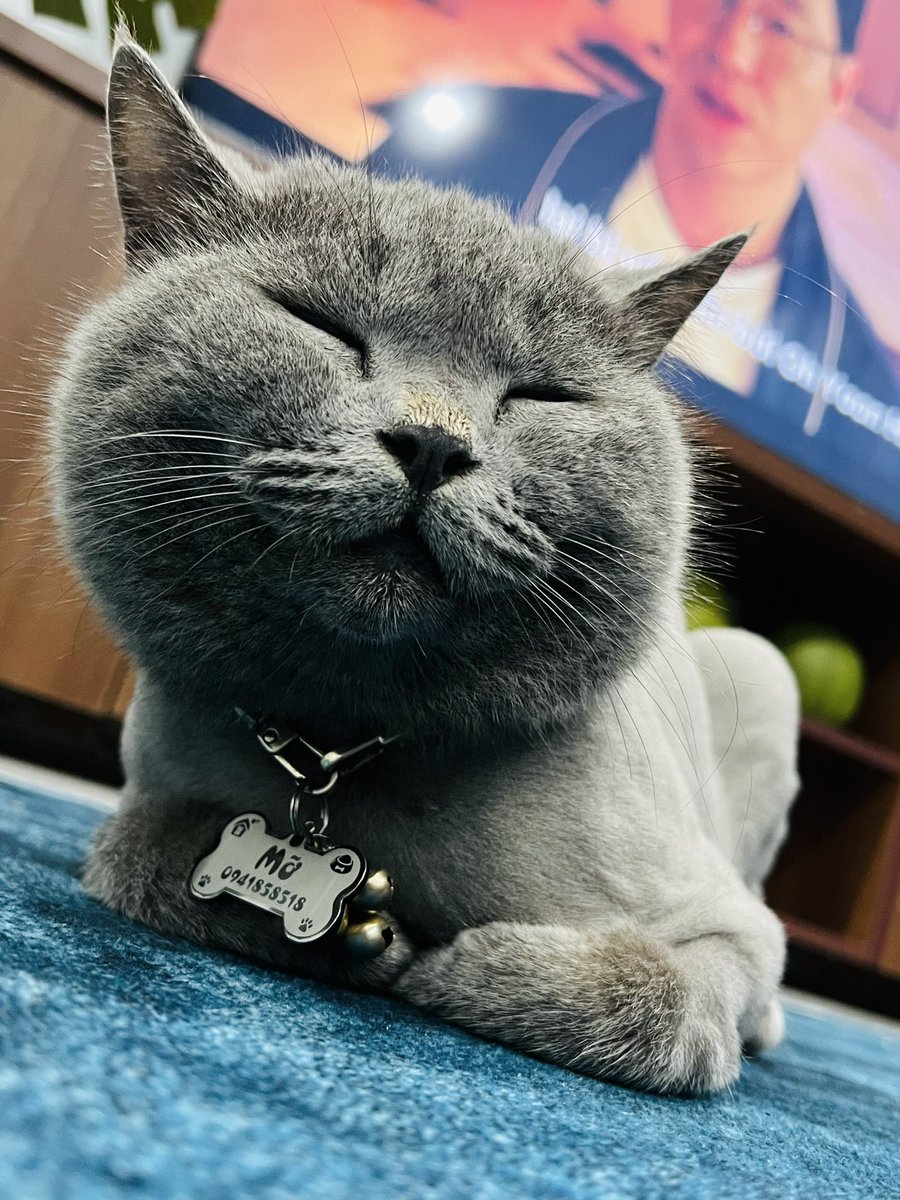 So cute 🥰🥰🥰