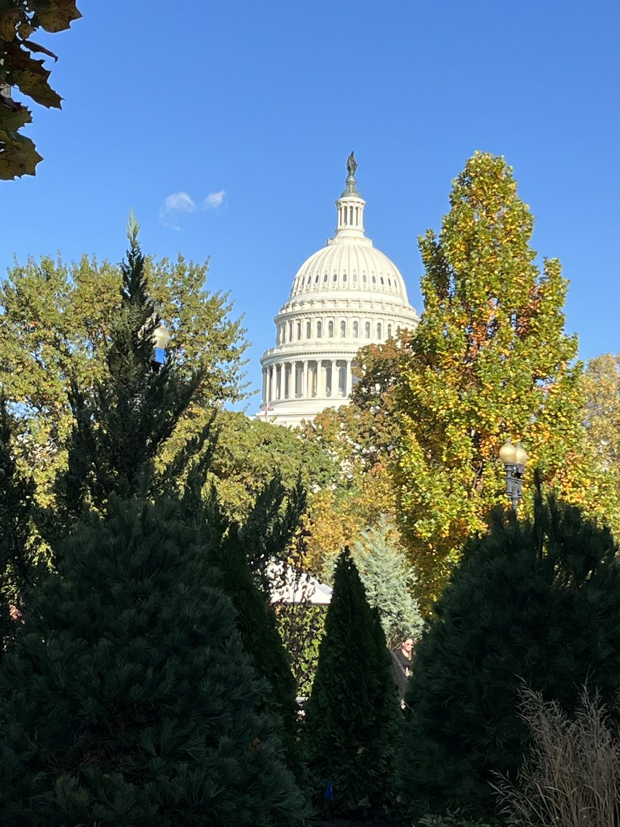 From #NCTM23 to #NCSM23, DC was a blast. @cothran_rebecca and I have been STEM inspired. The @WJCCSchools math team is ready for the next step.