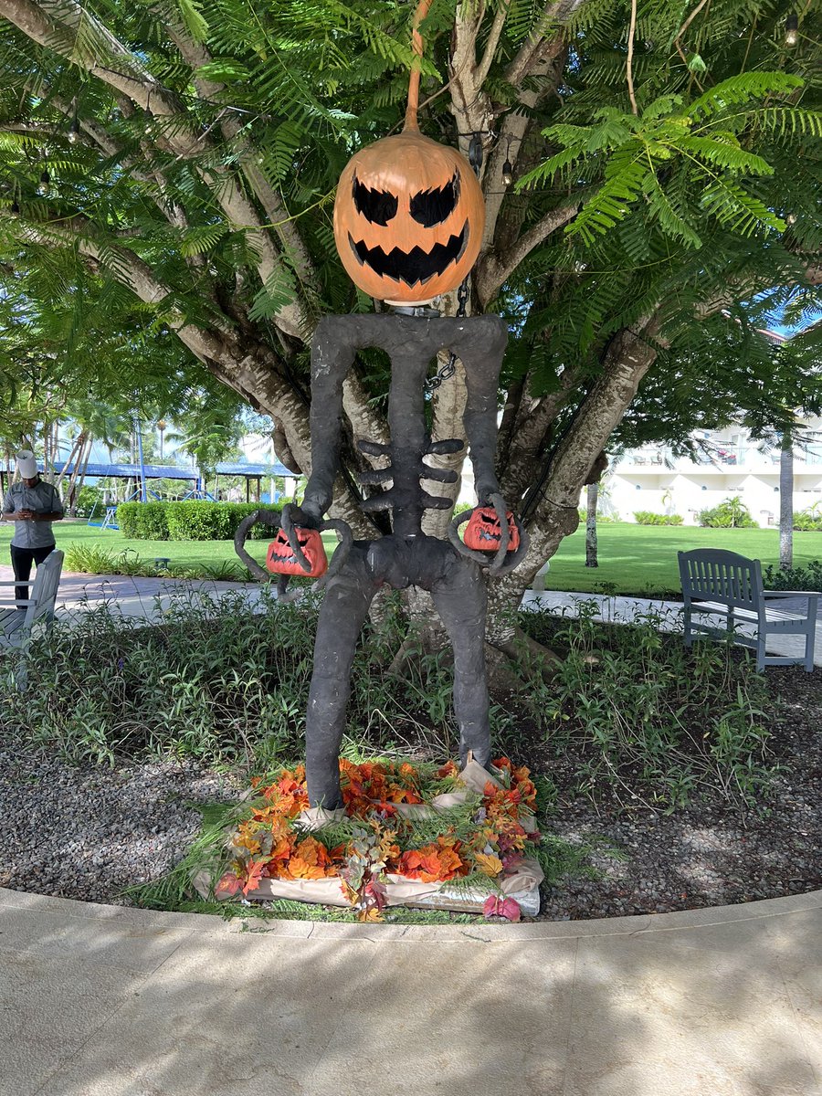 Haydn Griffiths tweet media