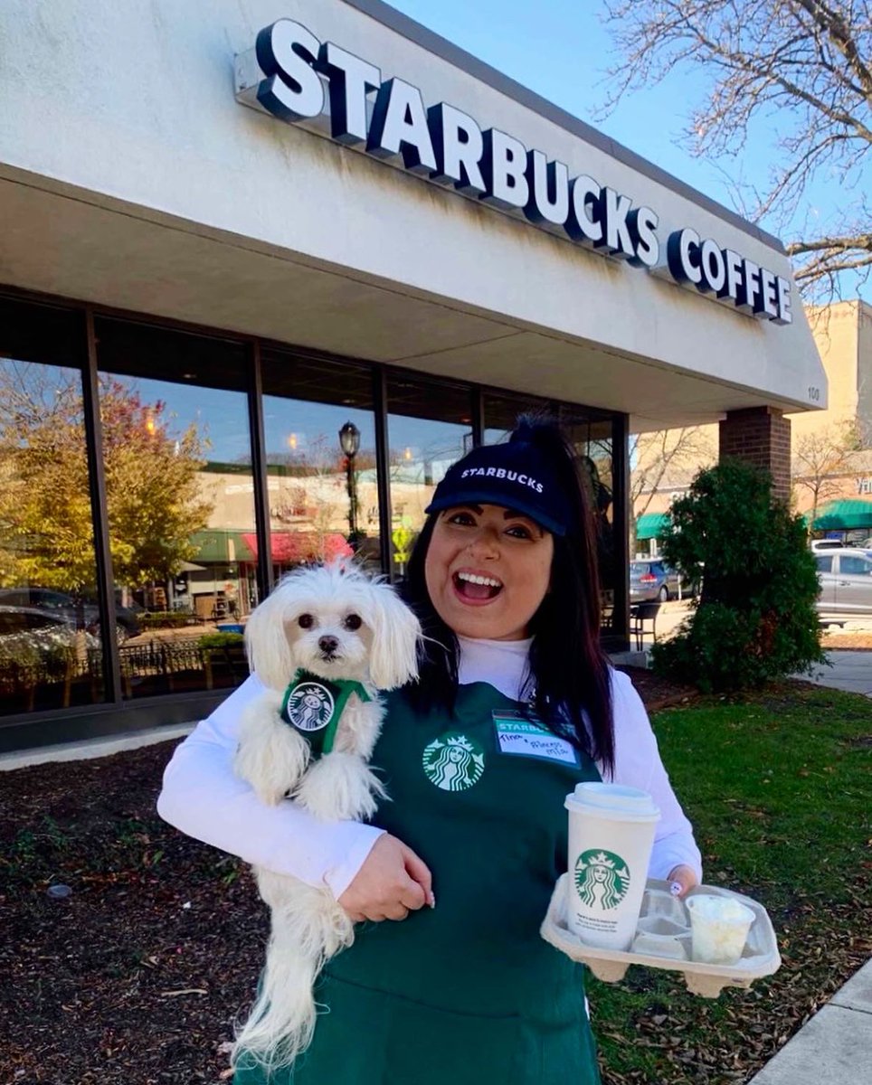 tina_pali's tweet image. #HappyHalloween from your 2 favorite @Starbucks baristas!!! Princess Mia thinks everyone deserves a pup cup today!☕️💚🎃