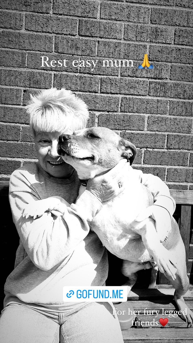 Zarhamuneer2's tweet photo. As some you might no my mum was a huge animal lover! And would do all she could to save re home mistreated animals all her life. Even driving to pick up animals that have been hit by cars and left. My mum was only ever a phone call away. https://t.co/FvADDXXdfY