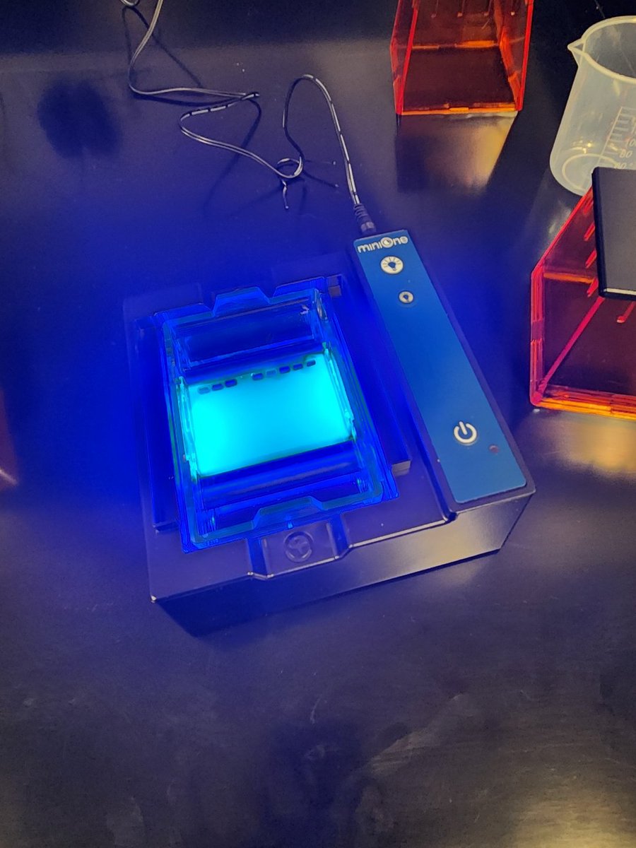 Lucretia Wise (@lwisebio) on Twitter photo Setting up our gels in our mini PD this afternoon. We had a blast! #JHSBio <a href="/JhsJags/">JHSJags</a> <a href="/KPClemons25/">Kimberly Clemons</a> <a href="/LazareScience/">Jennifer Lazare</a> <a href="/TeachMsA/">Amanda Attales</a> <a href="/brett_miksch/">Brett Miksch</a> #BIABaby Setting up our gels in our mini PD this afternoon. We had a blast! #JHSBio <a href="/JhsJags/">JHSJags</a> <a href="/KPClemons25/">Kimberly Clemons</a> <a href="/LazareScience/">Jennifer Lazare</a> <a href="/TeachMsA/">Amanda Attales</a> <a href="/brett_miksch/">Brett Miksch</a> #BIABaby