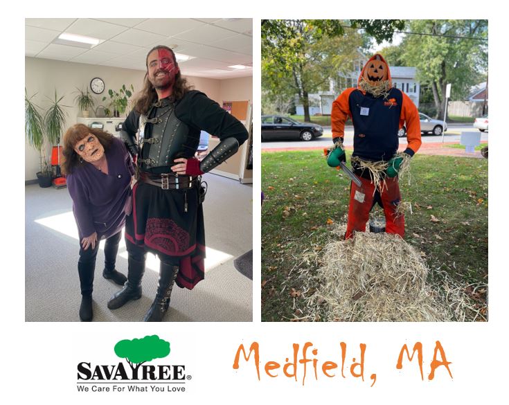 SavATree tweet media