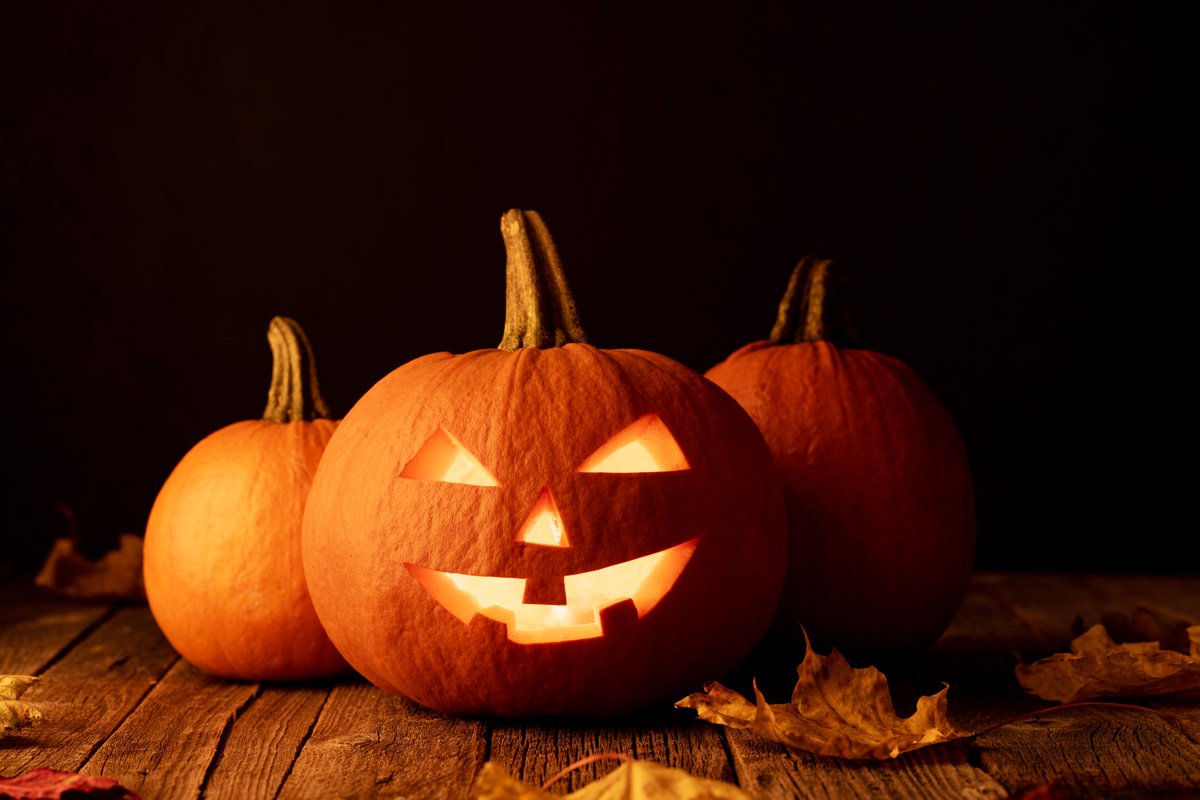 PurdueAgBiz's tweet photo. 🎃 So far, Halloween is 78% cool and traditions are shifting from tricks to trunks! "Trunk" chats spike mid-month, hinting that trunk-or-treats are the new Halloween hotspot (and well before the main event). 🚗🍭 #ConsumerCorner @ProfWidmar
https://t.co/jTl8Tyqsbe https://t.co/zm9be9N5hn
