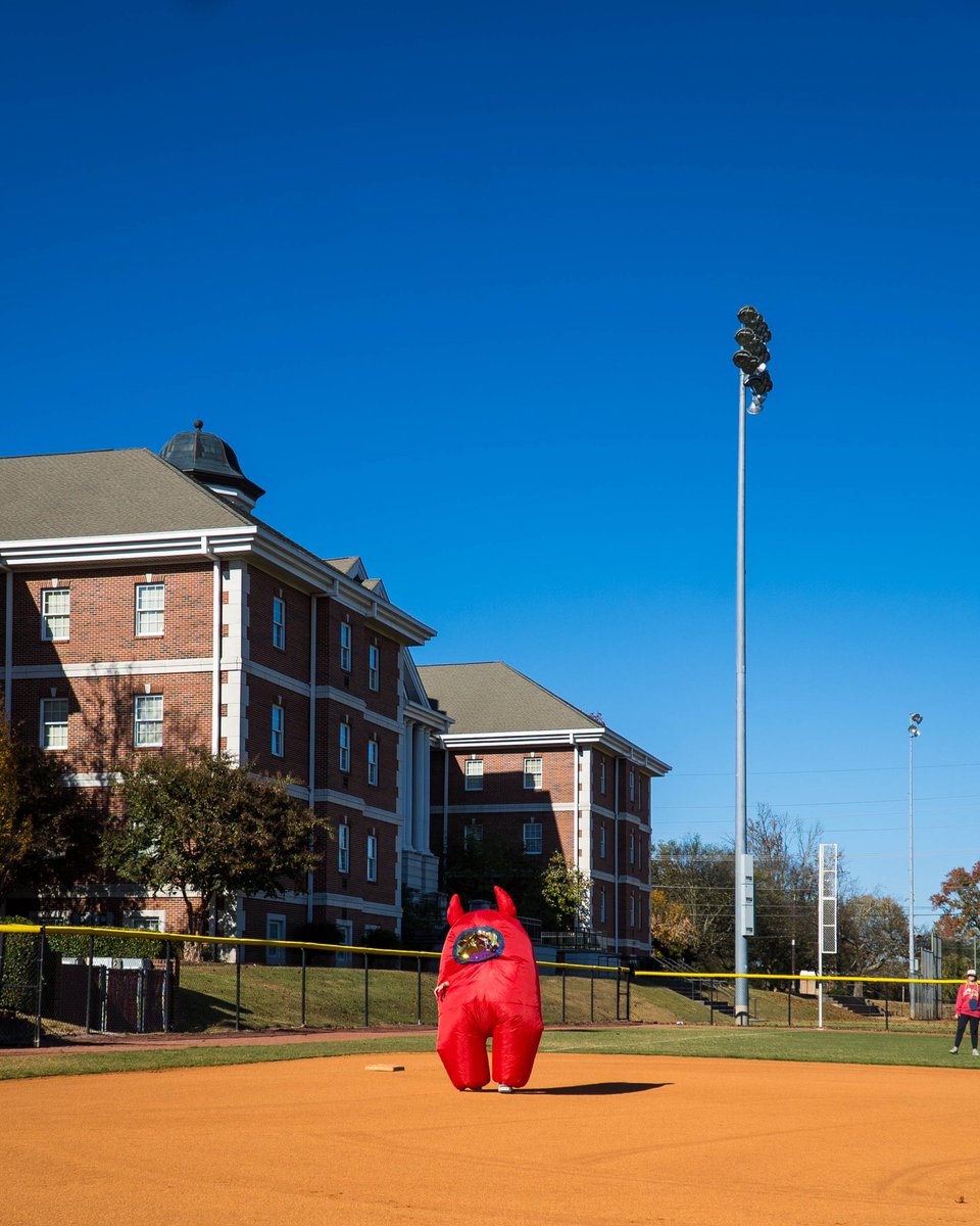 Lee Univ Softball tweet media