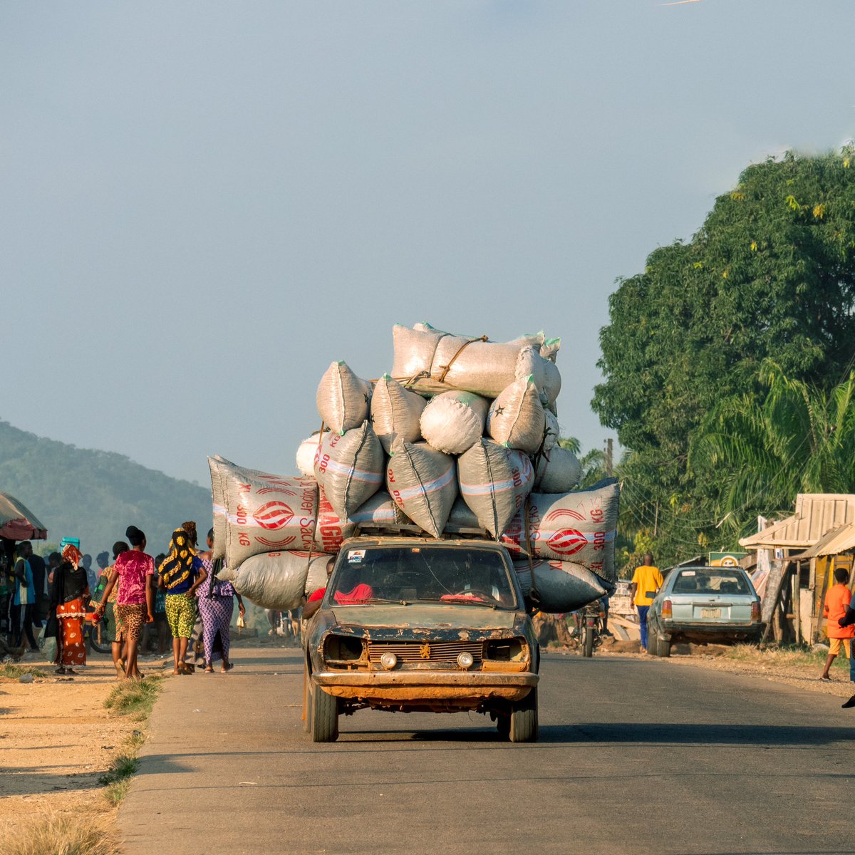 Russ Cook tweet media