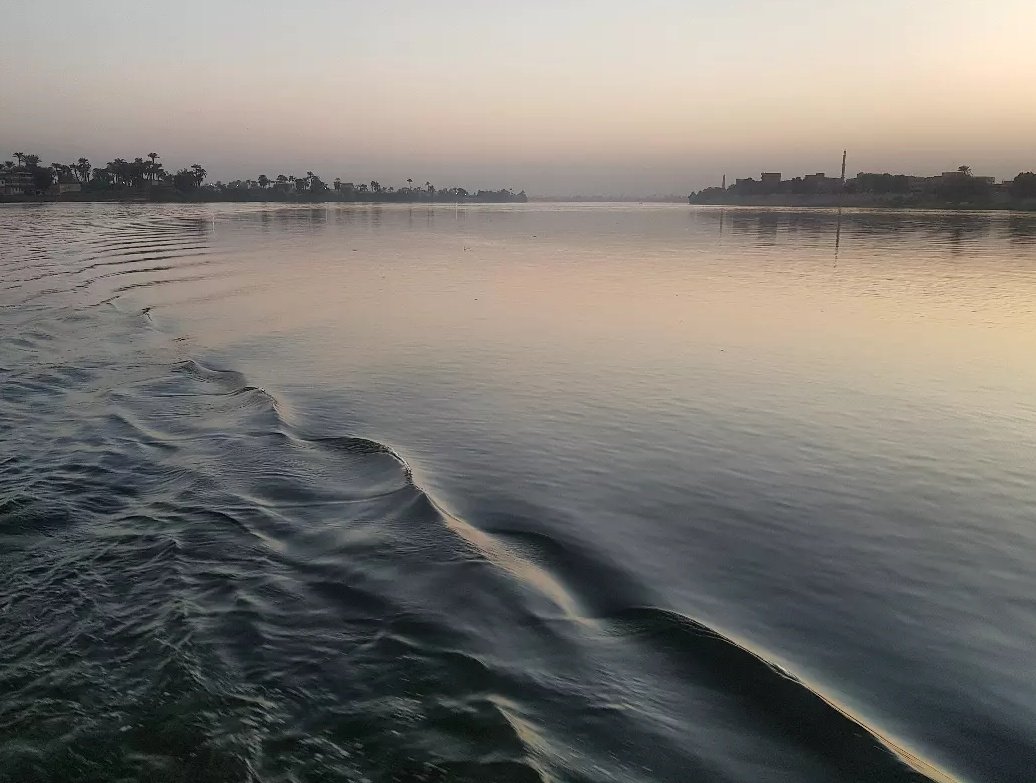 Dr Anna Garnett tweet media