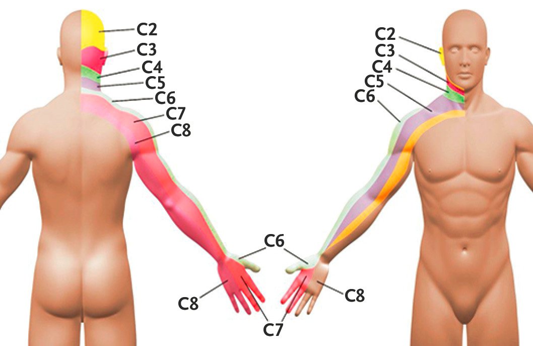 Jublished in NEJM 🔥

Clinical Examination of the Cervical Spine

👇👇👇

nejm.org/doi/full/10.10…