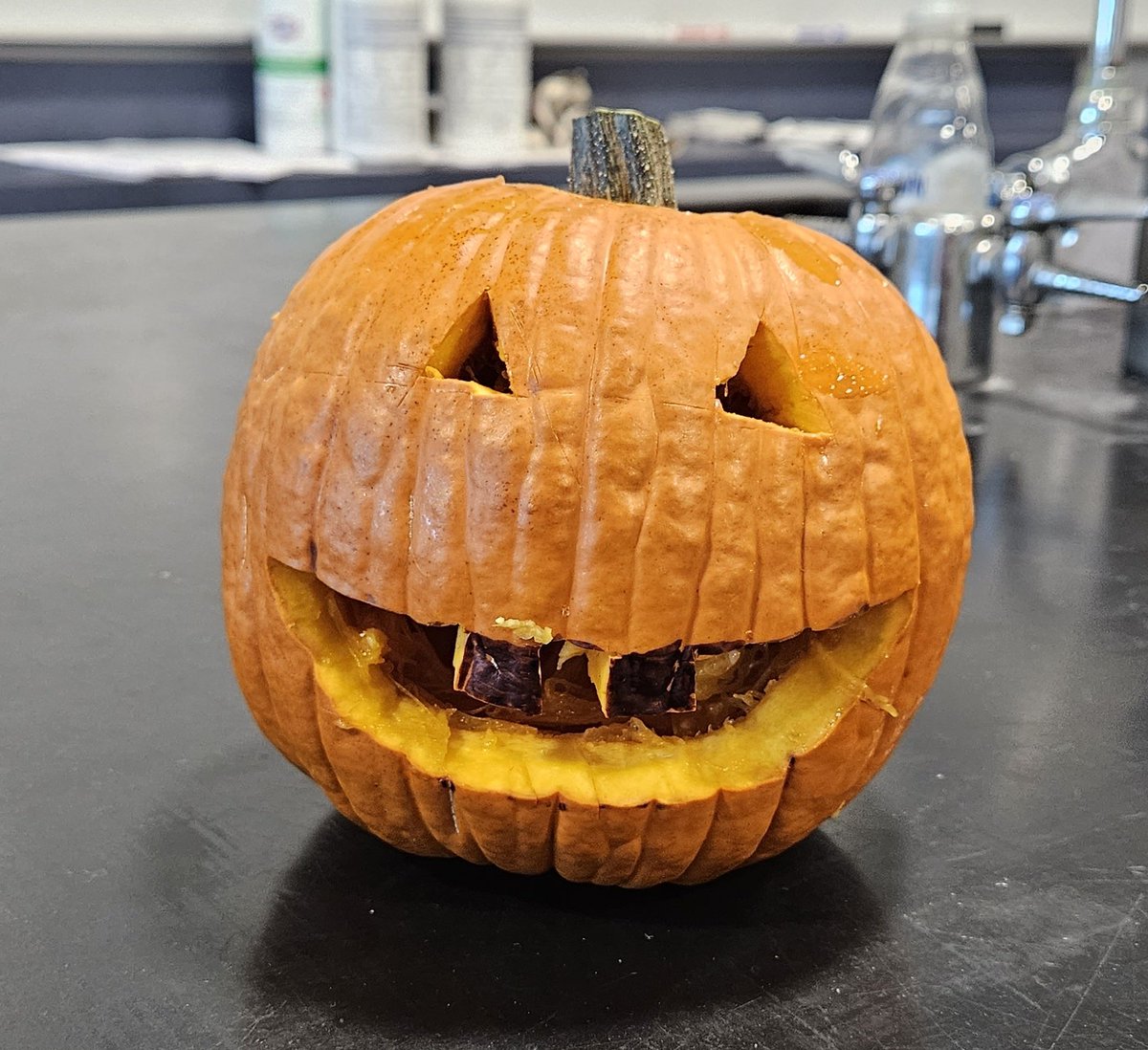 Happy Halloween from the Campus Environmental Club. Here is a Jack-o-lantern made from a pumpkin grown in the Campus Garden. A pumpkin sale/fundraiser might be in the works for next year once we streamline the growing process. Maybe even a haunted walk at the school pond?