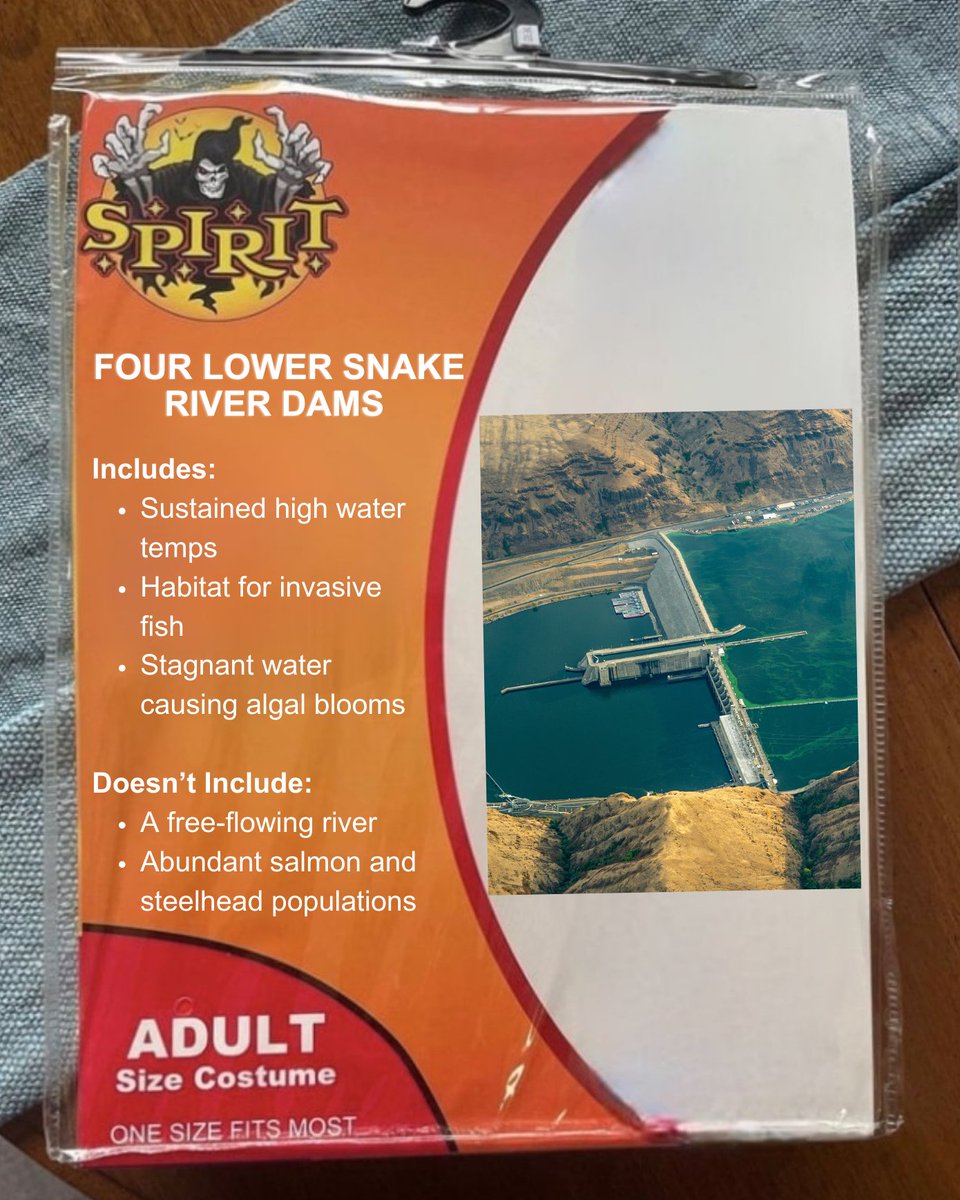 ✔️ Abundant meme ✔️ Not abundant salmon and steelhead populations on the Snake River We're dressing as the scariest thing we can think of - the lower four Snake River dams!