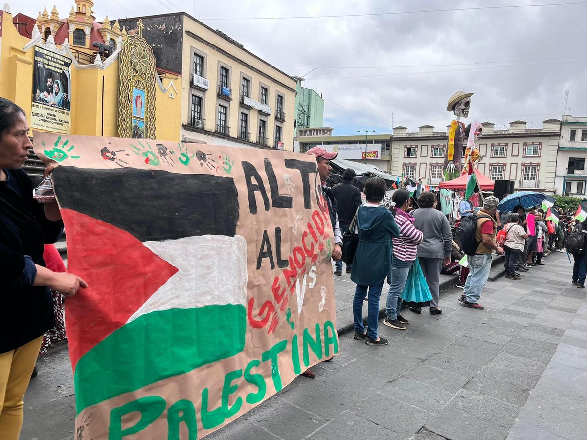 🇵🇸 Veracruzanos realizaron una cadena humana en Xalapa, para solidarizarse con el pueblo palestino, exigiendo que se detengan los bombardeos en la #FranjaDeGaza. La manifestación se realizó frente al palacio del gobierno estatal