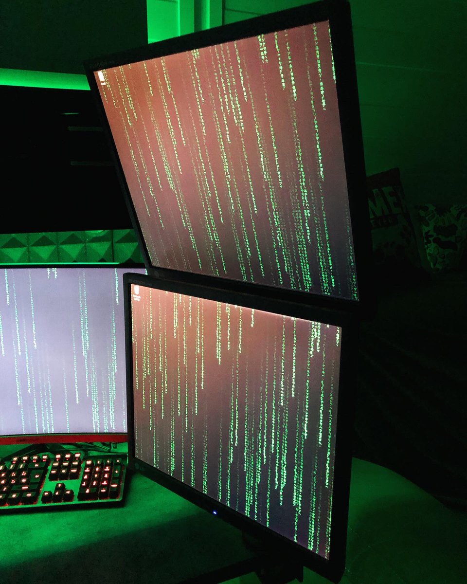 Sigue al conejo blanco …