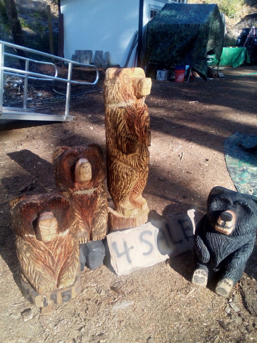 .
I'm learning to carve bears with a chainsaw. Please read my books.