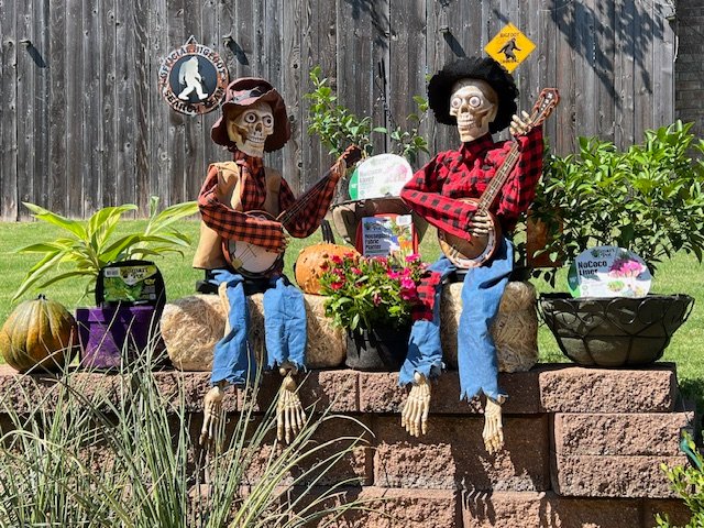 Happy Halloween from Smart Pot! 👻

Enjoy our treat to you, 20% off the entire smartpots.com/shop website, no tricks, just treats!

Use checkout code SPOOKY to save 20% off your entire order. Valid now thru November 1, 2023.

#smartpot #happyhalloween #fallgardening