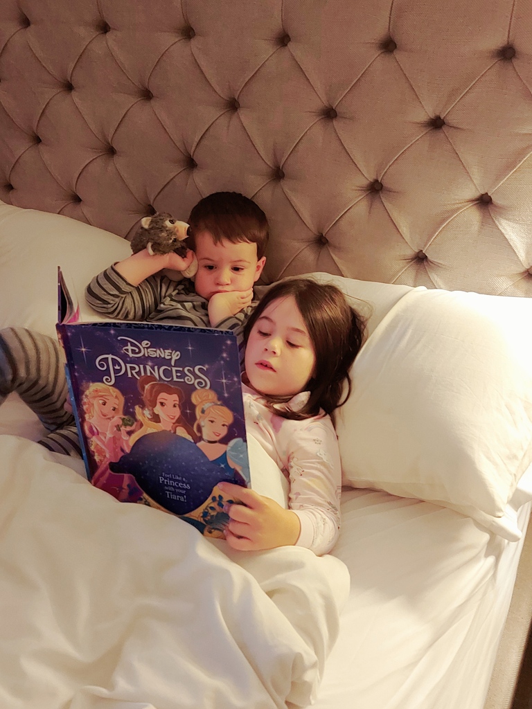 Shepton Community Bookshop CIC tweet media