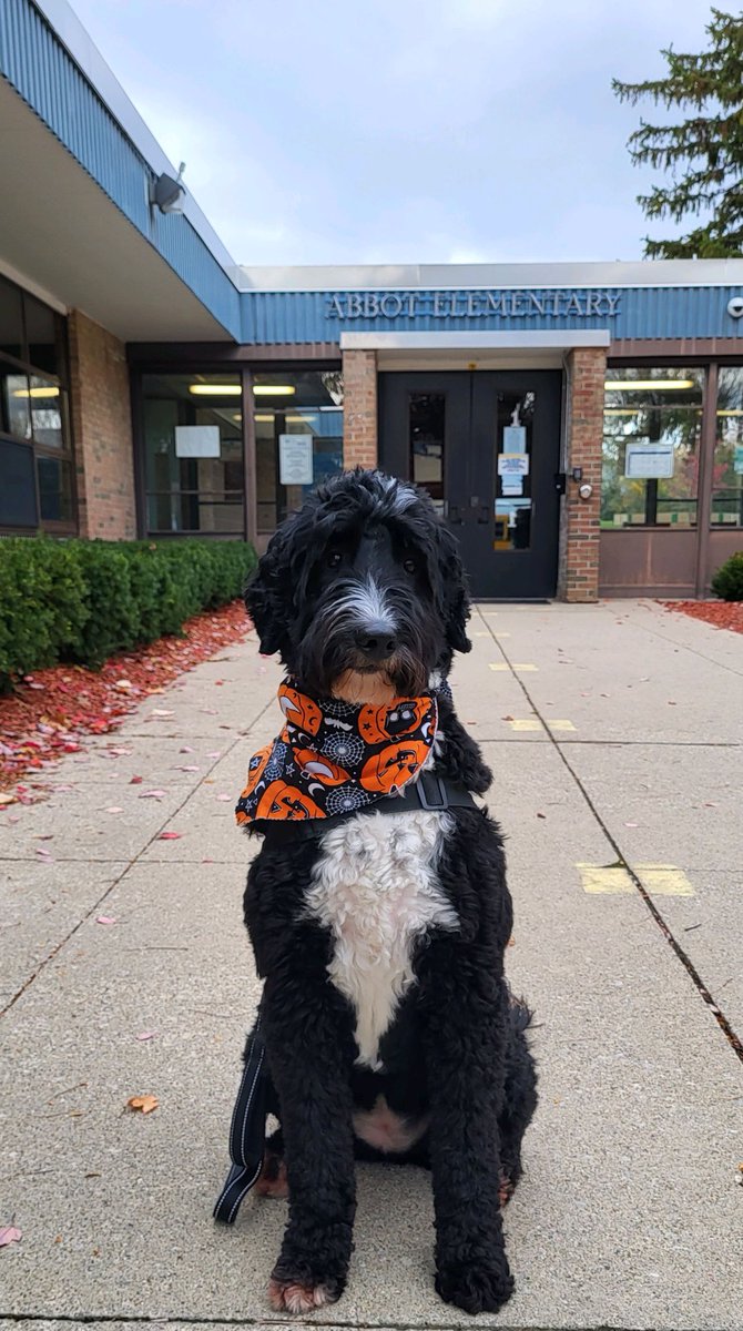 Star has the Halloween spirit! ⁦<a href="/A2schools/">A2 Public Schools</a>⁩ ⁦@A2SchoolsSuper⁩ ⁦@a2ptothriftshop⁩