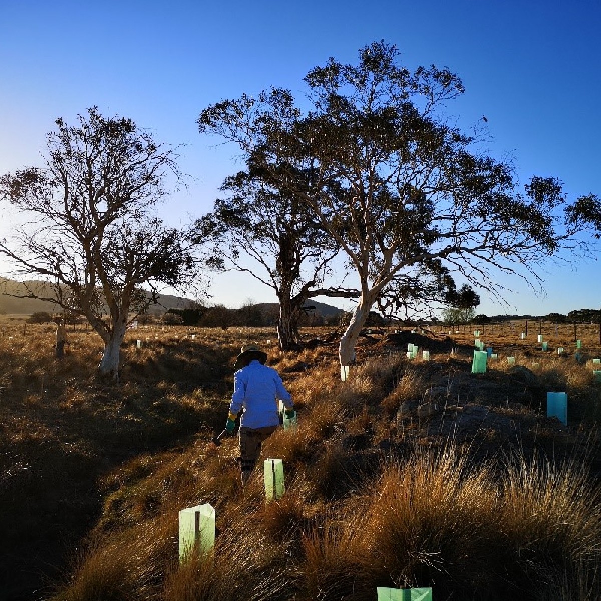 Final reminder to apply for Landcare funding ⌛🌱

Applications for the Local and Regional Coordinator grants close on Friday 3 November at 11:59 pm. Visit brnw.ch/21wE23k for more information. 

<a href="/LandcareNSW/">Landcare NSW</a>