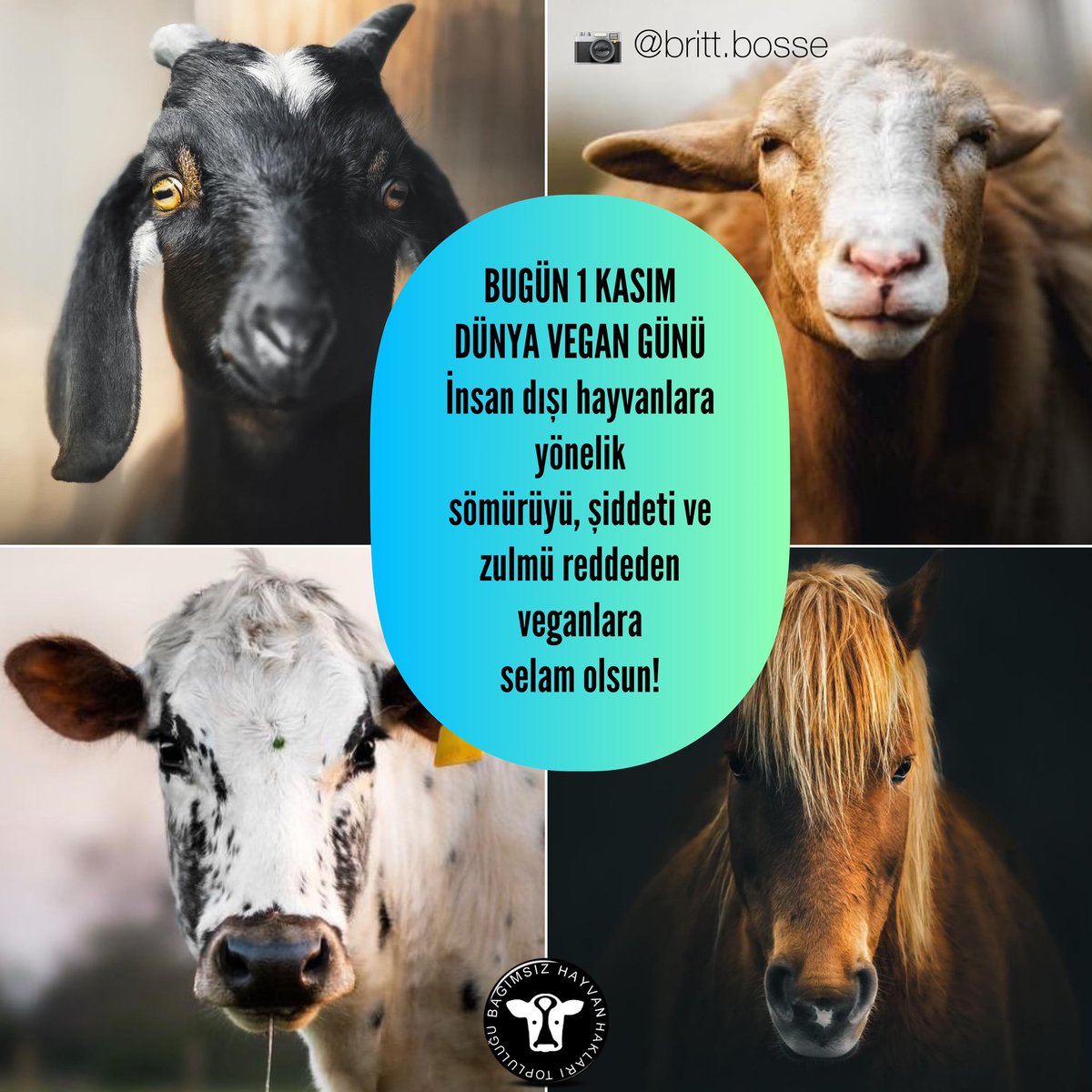 1 Kasım #DünyaVeganGünü’nde herkesi insan gibi bilinç sahibi ve duyguları olan insan dışı hayvanların yaşama hakkını tanıyıp #vegan olmaya çağırıyoruz!

#veganol #yaşamhakkı #hayvanözgürlüğü #hayvanlariçinvegan