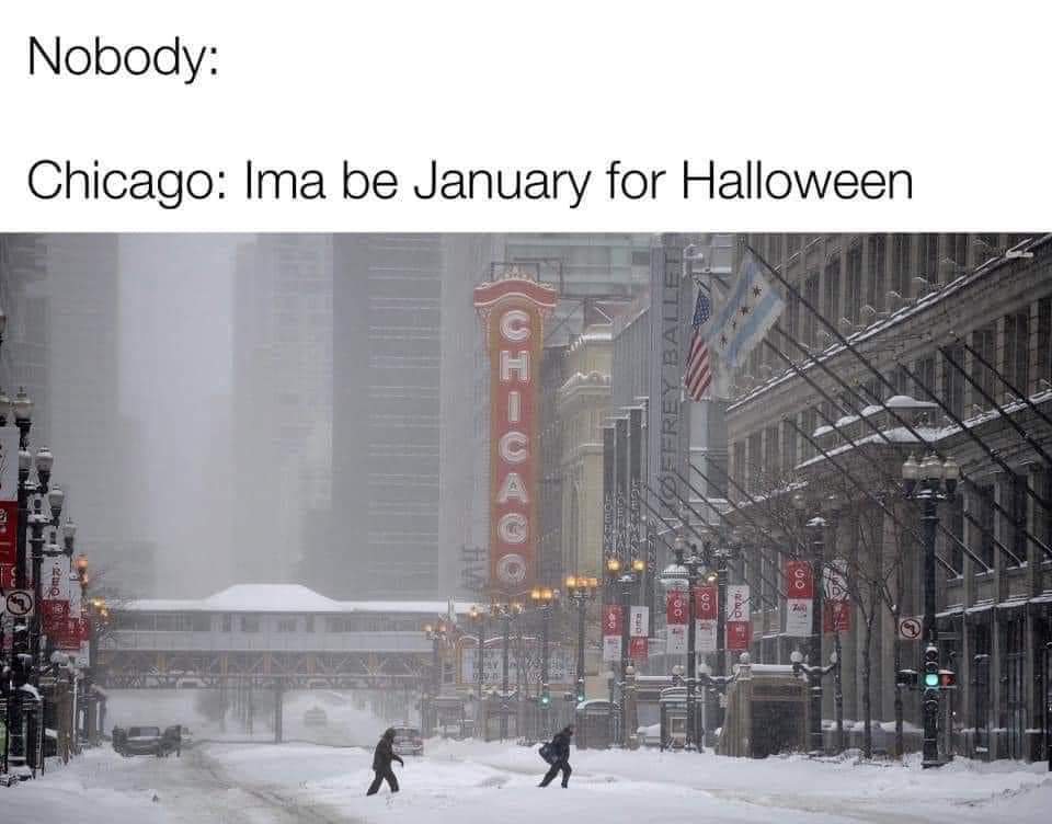 Chicago Bar Shop tweet media