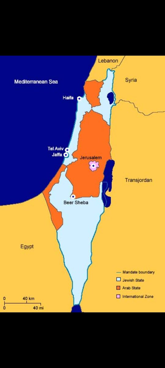 Man from Florida tweet media