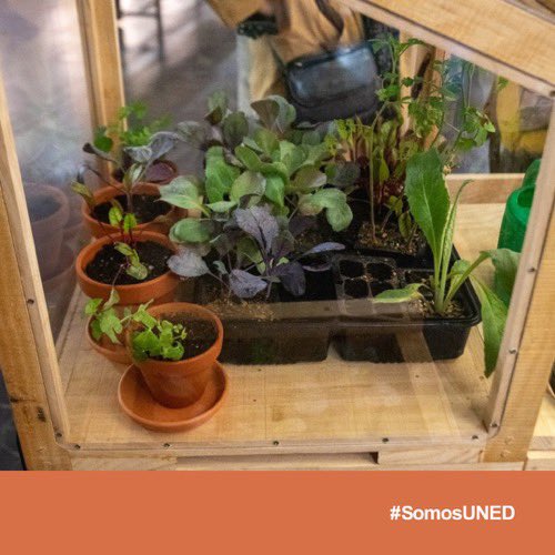 UNEDMadrid's tweet photo. Hoy hemos inaugurado en #UNEDMadrid la exposición “Brotando entre ciencia y arte: Las semillas como resilientes pilares de la alimentación sana y sostenible del pasado, presente y futuro”.
 
🗓️ Del 2 al 16 de noviembre en Escuelas Pías. https://t.co/DLJHHFQURO