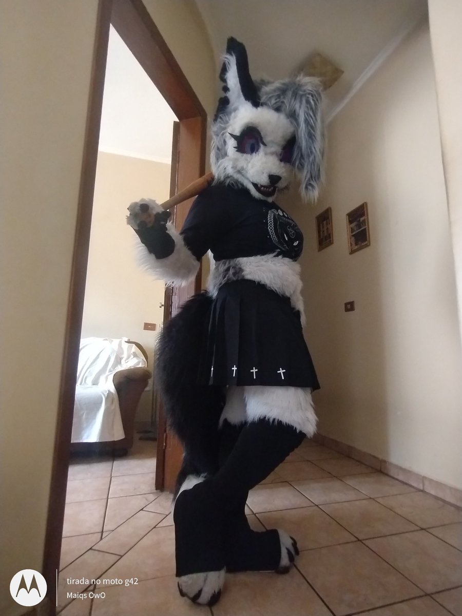 Happy hallowen from loonie  #furry #furryfandom #furrycommunity #furryfriends #furrypride #furrytrash #furrycharacter #furrygirl #furrysex #furrysuit #fursuit #fursuiters #furrybrazil #loonahelluvaboss #helluvabosscosplay