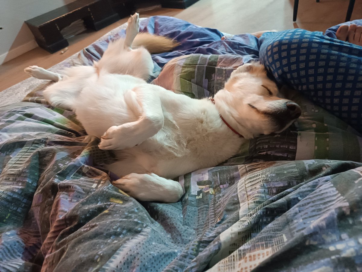 Сладко спим