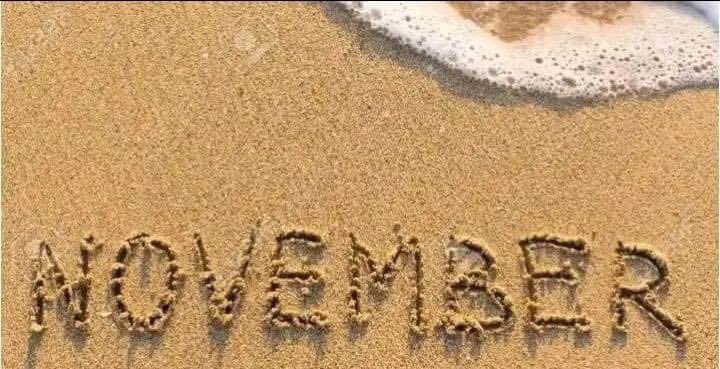 quotetoponder's tweet photo. Manifesting November full of happiness, success, peace , love and new opportunity. https://t.co/cNADUwePdB