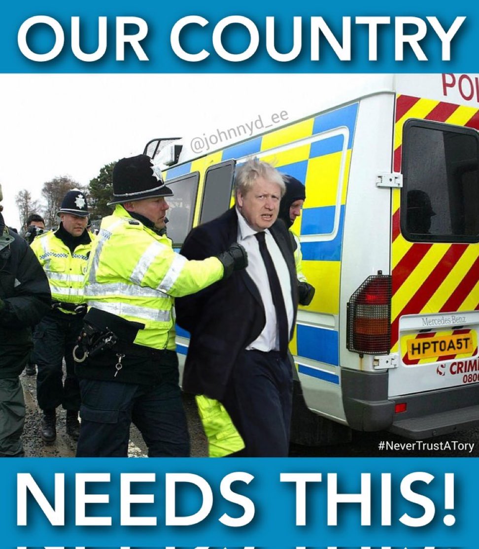 Anniesomeone tweet media