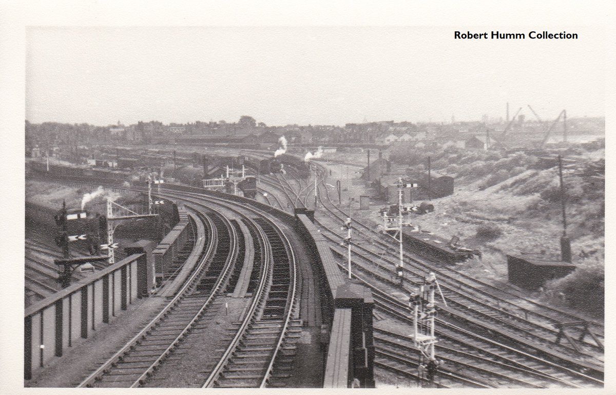 Robert Humm & Co tweet media