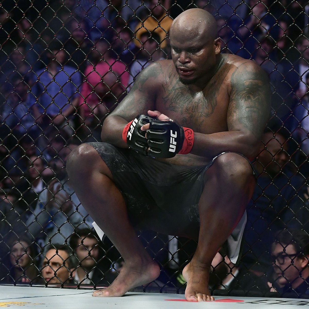 MMA Orbit tweet media