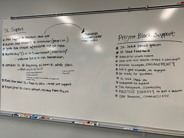 Our first Sustaining Excellence Day of the year was filled with amazing conversations and a strong sense of creating an even more incredible learning environment together.  And...there were some good costumes!!!!