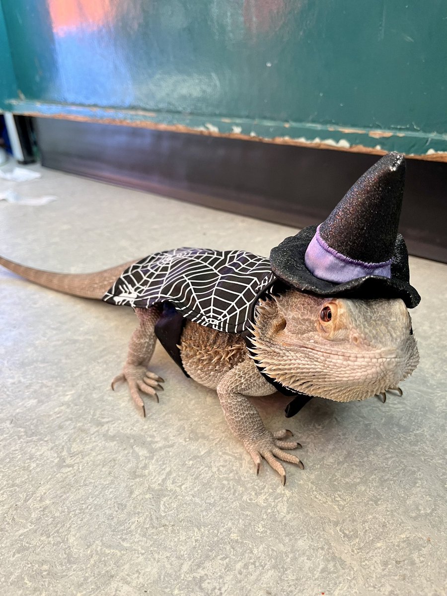 HarbourViewSD43 tweet media