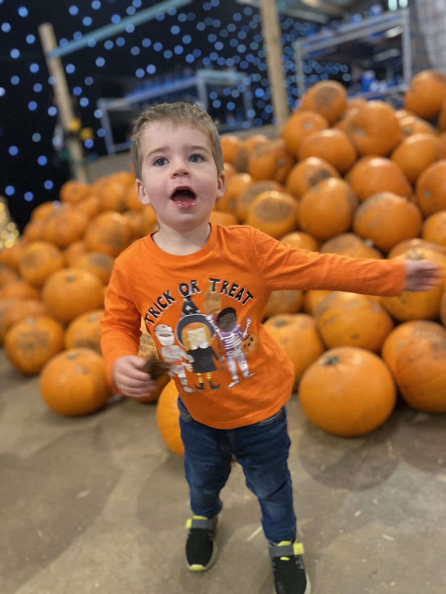binkybunny7's tweet image. Pumpkin fun at @BarnBerryfields today … so heart warming to watch toddlers learn about the world and be fascinated by what they see 🎃🧡🥰 #PumpkinPatch #OscarsAdventures