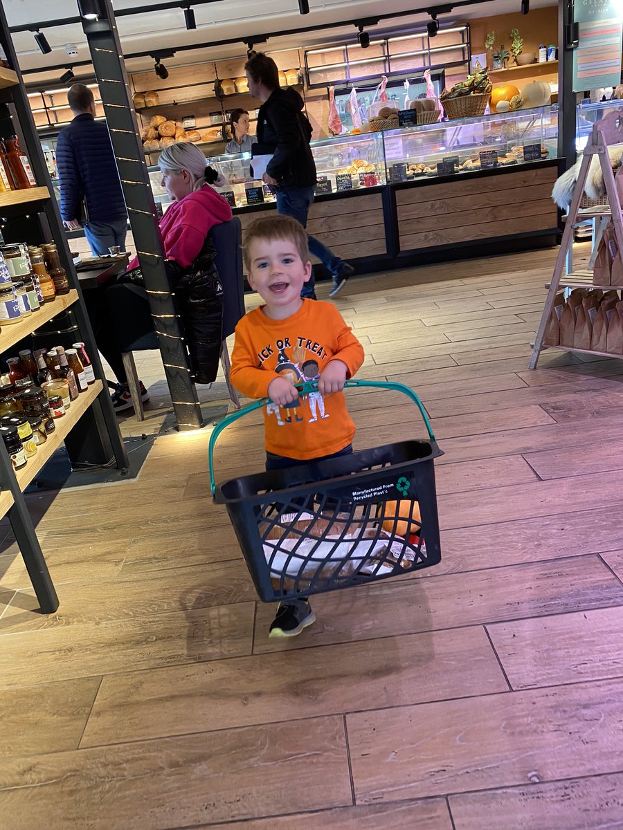 binkybunny7's tweet image. Pumpkin fun at @BarnBerryfields today … so heart warming to watch toddlers learn about the world and be fascinated by what they see 🎃🧡🥰 #PumpkinPatch #OscarsAdventures