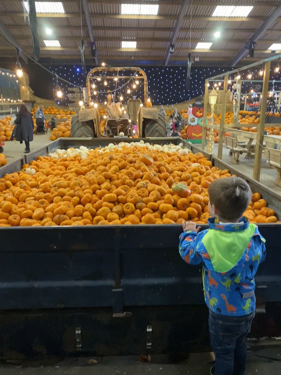 binkybunny7's tweet image. Pumpkin fun at @BarnBerryfields today … so heart warming to watch toddlers learn about the world and be fascinated by what they see 🎃🧡🥰 #PumpkinPatch #OscarsAdventures