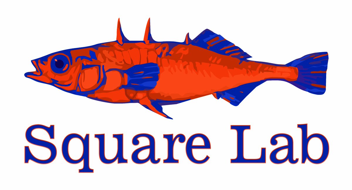 Dr. Square tweet media