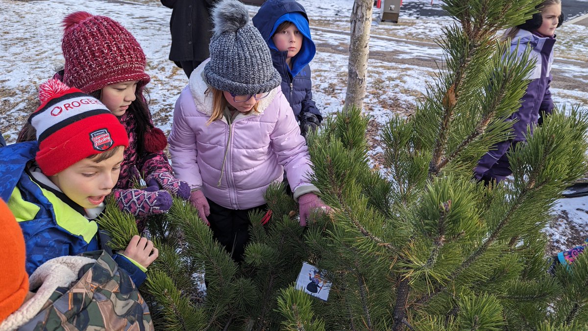 Took our TMO Club out to check out some of the YMM Halloween Lights to do a neighbourhood scavenger hunt and finished up with some hidden symbols in our play yard. Stay safe out there tonight folks!