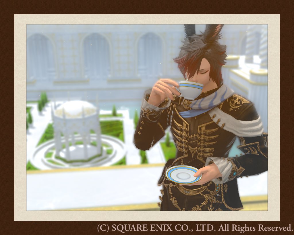 グルグ火山より
下の庭園に降りてSS撮りたいの気持ち

#ヴィエラ
#おはウサ